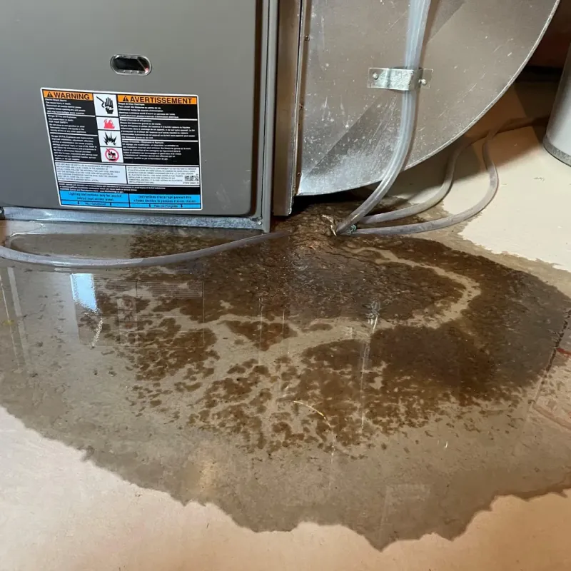 Appliance Leak Cleanup in Hawaiian Ocean View, HI