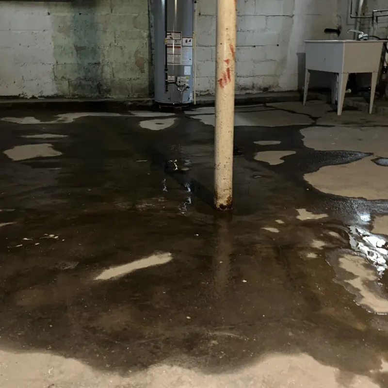 Emergency Water Extraction And Removal in Hawaiian Ocean View, HI